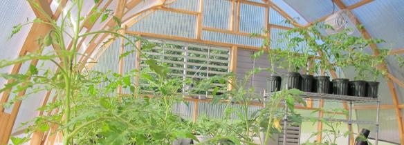 Greenhouse interior